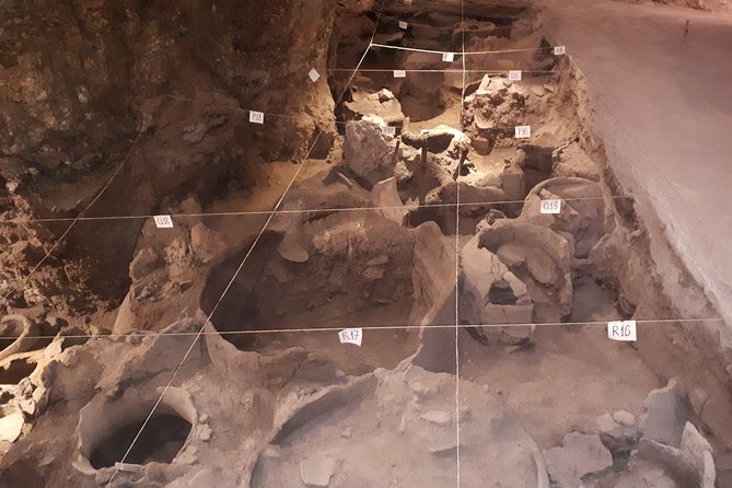2 days and 1 night private tour to Khor Virap, Areni, Noravank, Goris, Tatev. - Areni wine and the oldest known winery site