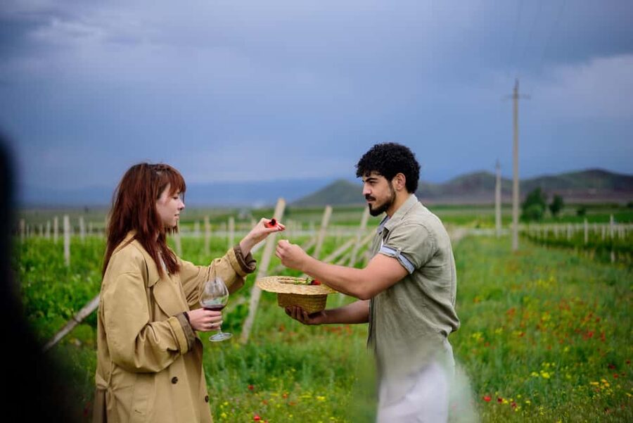 Armenia: Wine Tasting and Vineyard Lunch at Voskeni Winery - Booking, Timing, and Practical Advice