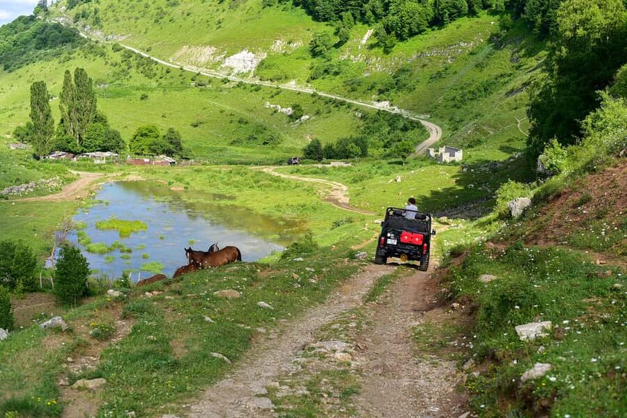 From Ijevan: Off-Road Expedition to Mt. Vitasar - Tea, Coffee, and Gata in the Tavush Hills