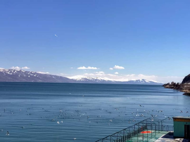 From Tbilisi: Dilijan & Sevan Lake Full-Day Tour to Armenia - The guides are a major part of the experience