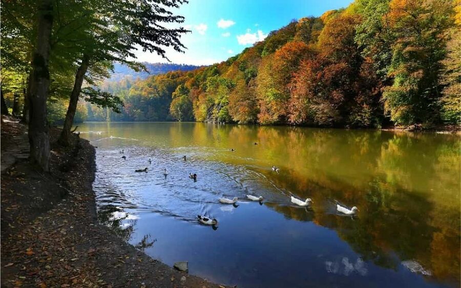 From Yerevan: Off-Road and Horseback Riding Adventure Tour - Lake Parz: a quiet forest stop with an optional zipline