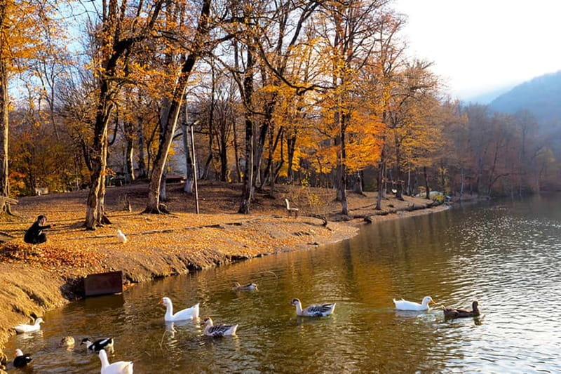 Group Tour: Dilijan, Parz Lake, Makaravank, wine factory - Lunch in the middle of the day