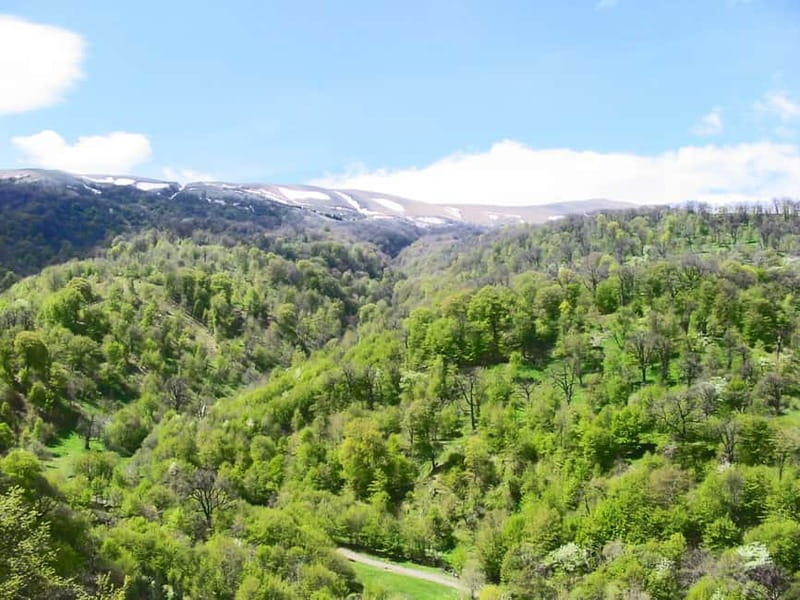 Group Tour: Dilijan, Parz Lake, Makaravank, wine factory - Guide service, language, and comfort