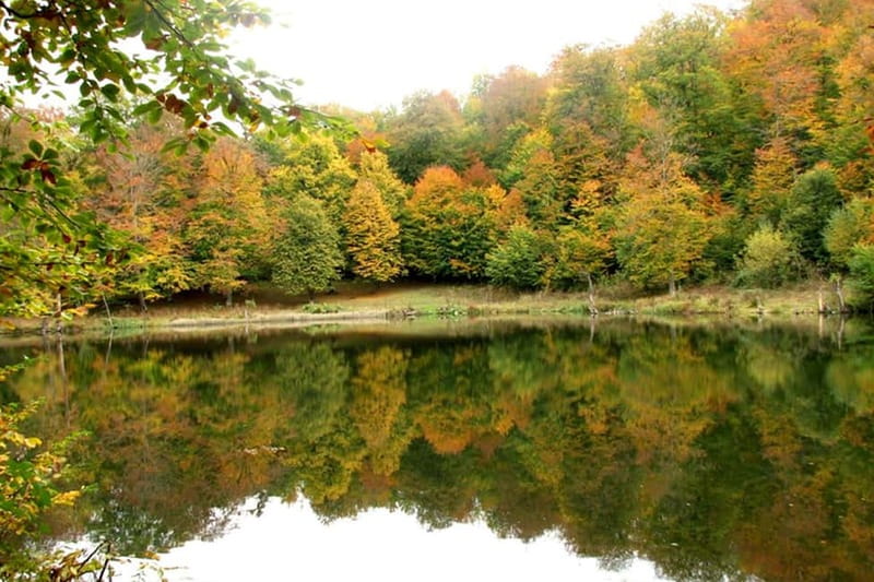 Group Tour: Dilijan, Parz Lake, Makaravank, wine factory - Dilijan Old Town and the forest road