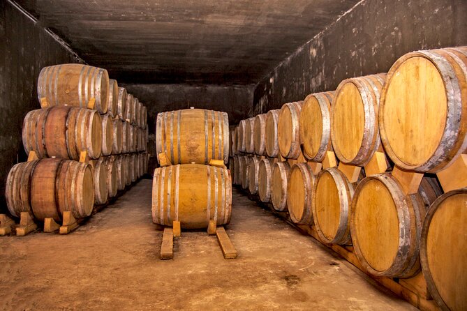 Group Tour: Hin Areni Winery, Tatev (wayback on Ropeway), Khndzoresk Caves - The Guide, Group Size, and Language Setup