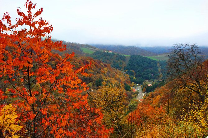 Group Tour: Lake Sevan (Sevanavank), Dilijan (Goshavank, Haghartsin) - Haghartsin in the Tavush woodlands