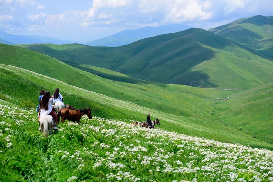 Horseback Adventure in Armenia’s Highland Pastures - Returning through the pasture