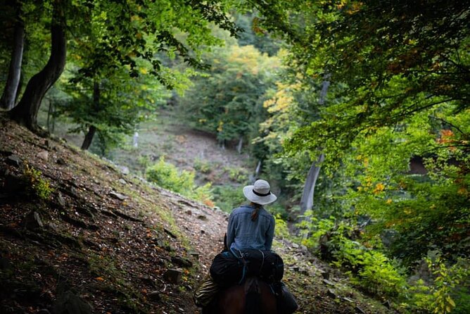 Horseback Riding in Armenia - Day 7: Forested hills and Haghartsin Monastery