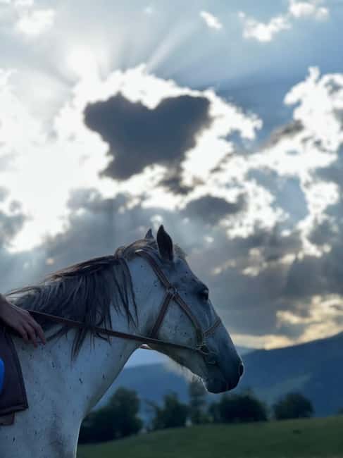 Horseback riding in Dilijan - Agarcin and the rough road to the club