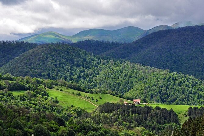 Lake Sevan & Dilijan Guided Day Trip with Ijevan Wine Tour - Who should book this outing?