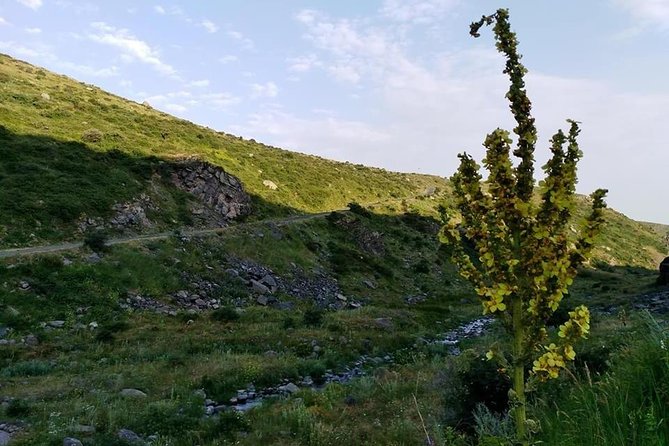 Mount Aragats, Amberd Fortress, Saghmosavank Monastery, Alphabet - private tour - Why This Mountain Day Trip Is Worth Considering