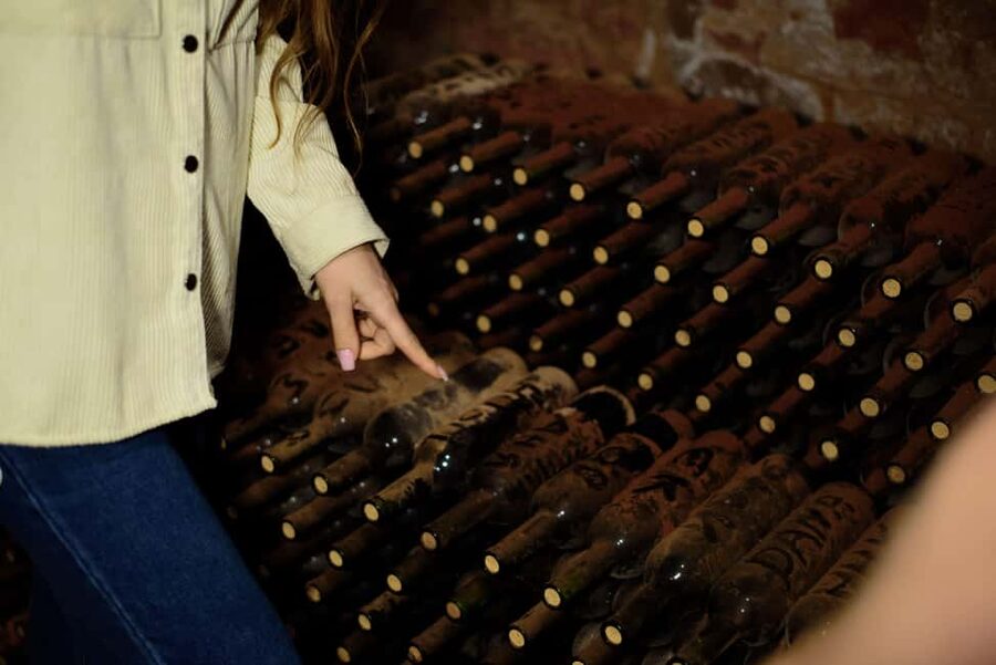 Mt. Ararat: Wine Tasting & Dinner at Tushpa Winery - Practical tips for a smoother visit