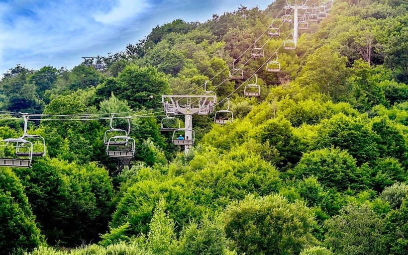 Private Day Trip: Lake Sevan & Dilijan Highlights - What this Yerevan day trip is really like