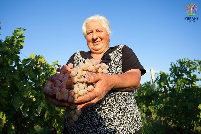 Private Tour: Khor Virap, Noravank Monasteries, Areni, Jermuk - Areni wine at Ar-Areni winery