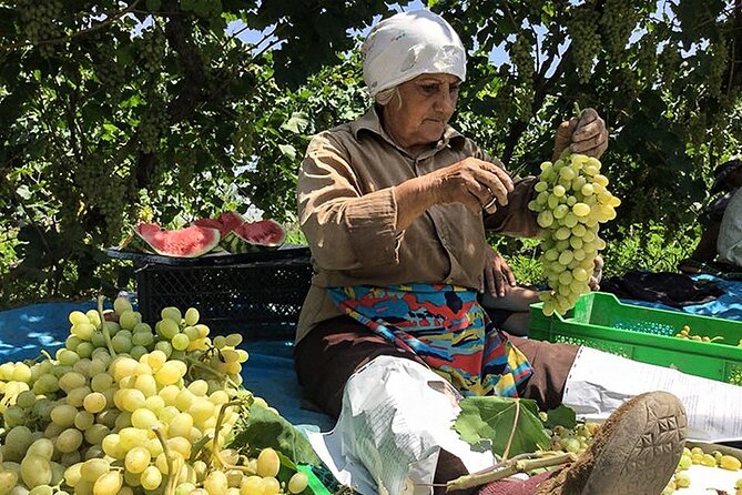 Private tour to Khor Virap, Ararat view - Who will enjoy this private outing most