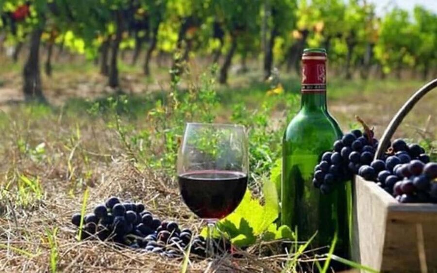 Private Trip: Tatev Ropeway-Shaki Waterfall-Wine Degustation - A long southern Armenia day from Yerevan