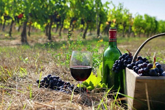 Private wine tour to Khor Virap, Areni winery, Noravank - Key points to know before booking