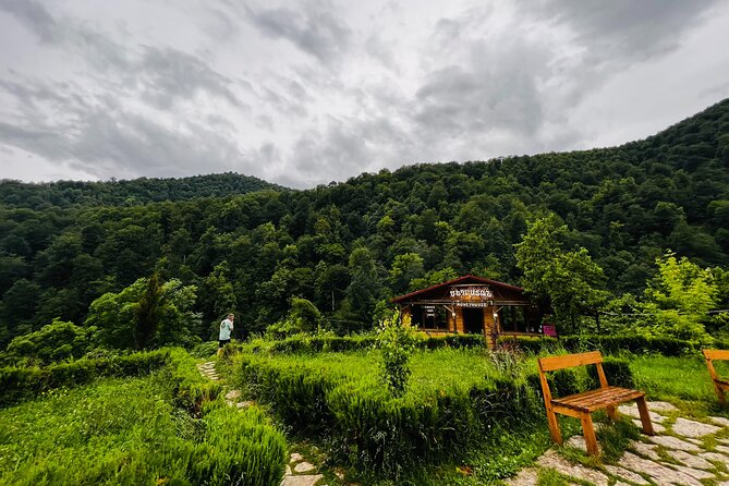 Sevan & Dilijan Escape: Crystal Lake, Old Town & Haghartsin - The road toward Dilijan