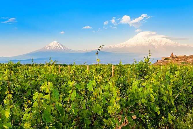 Tatev & Shaki Waterfall Guided Group Tour with Wine Tasting - Areni Winery and Armenia’s wine country