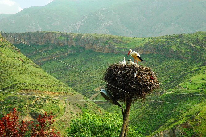 The Great Beauty of Armenia: 7-Day Culture and Cuisine Tour - What $750 buys you in practical terms