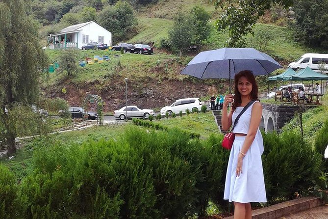 Transfer from Yerevan to Tbilisi with 2 sightseeing stops - What the car ride is like