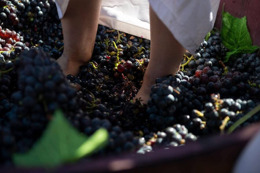 Yerevan: Khor Virap Day Trip with Mount Ararat Wine Tasting - Key points to know before you book