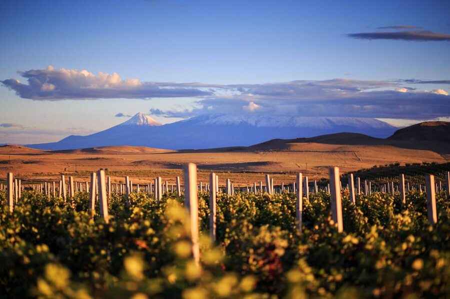 Yerevan: Khor Virap Day Trip with Mount Ararat Wine Tasting - What the monastery visit is really like