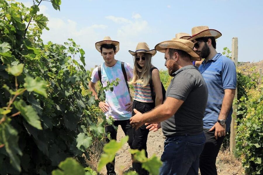 Yerevan: Khor Virap Day Trip with Mount Ararat Wine Tasting - Who will enjoy this outing most